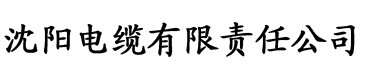 大团结无删减版叶传龙电缆厂logo